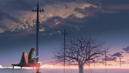 Akari Shinohara from 5 Centimeters per Second sits alone on a bench at dusk, illuminated by soft light under a dusky sky with power lines and a bare tree in this HD anime wallpaper.