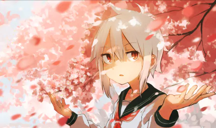 Anime girl anime girl HD Desktop Wallpaper | Background Image