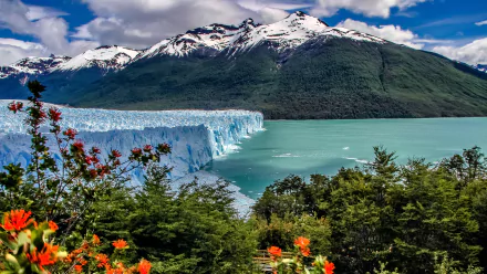 bush lake mountain Argentino Lake Los Glaciares National Park Perito Moreno Glacier Andes patagonia Argentina nature glacier HD Desktop Wallpaper | Background Image