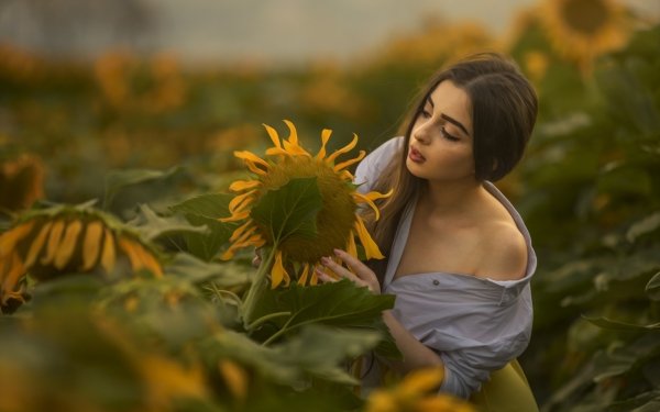 Women Mood Sveta Mishieva Sunflower Model HD Wallpaper | Background Image
