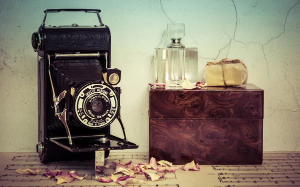 vintage camera vintage still life retro bottle petal man made camera HD Desktop Wallpaper | Background Image