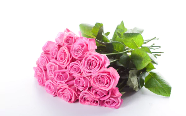 pink rose bouquet nature rose HD Desktop Wallpaper | Background Image