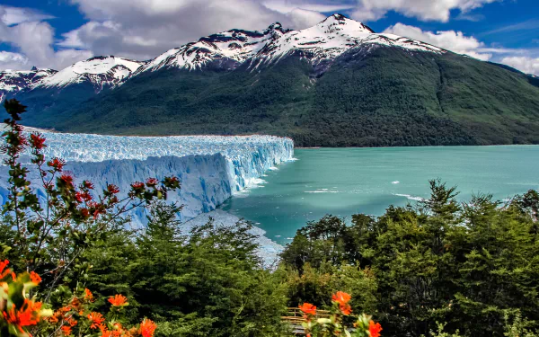 Snow-capped Andes mountains tower over the blue waters of Argentino Lake and the Perito Moreno Glacier, framed by lush Patagonian bushes in Los Glaciares National Park, Argentina.