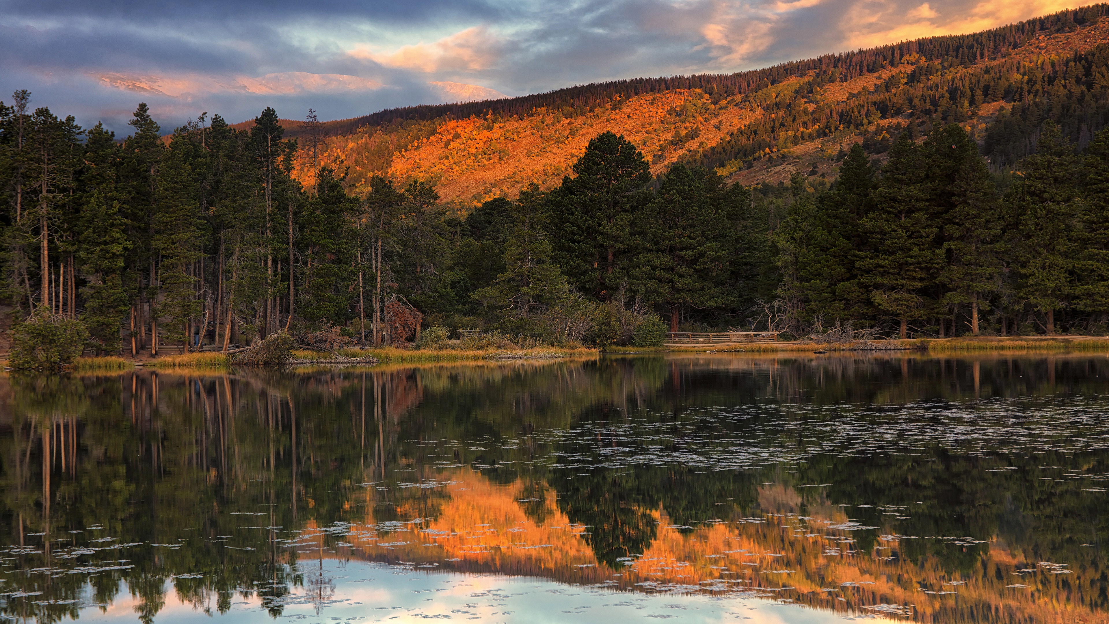 Download Pine Tree Fir Tree Lake Mountain Nature Reflection 4k Ultra HD ...