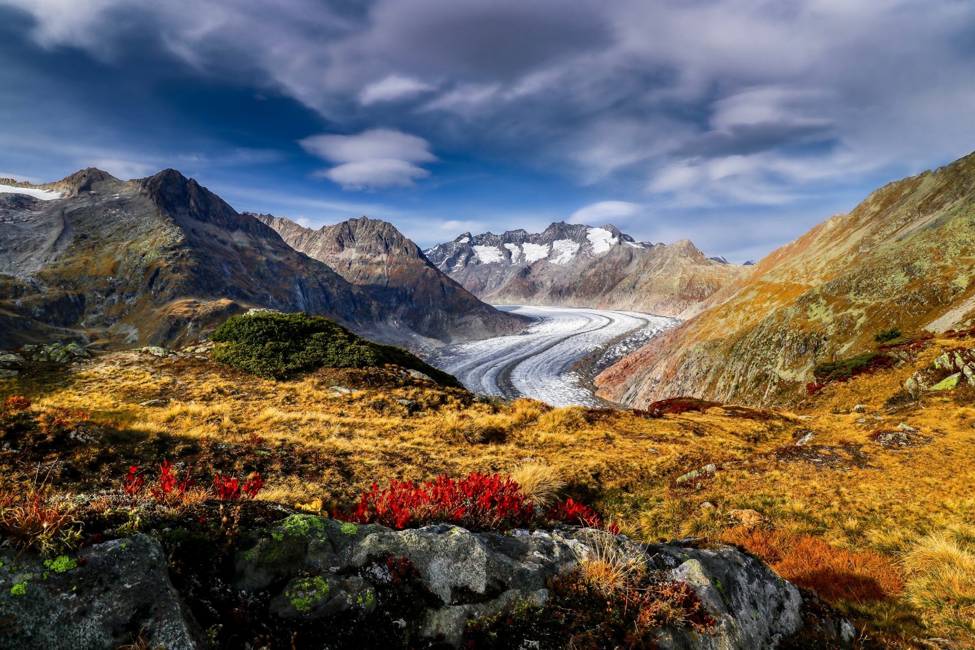 Download Glacier Mountain Flower Alps Switzerland Nature Alps Mountain