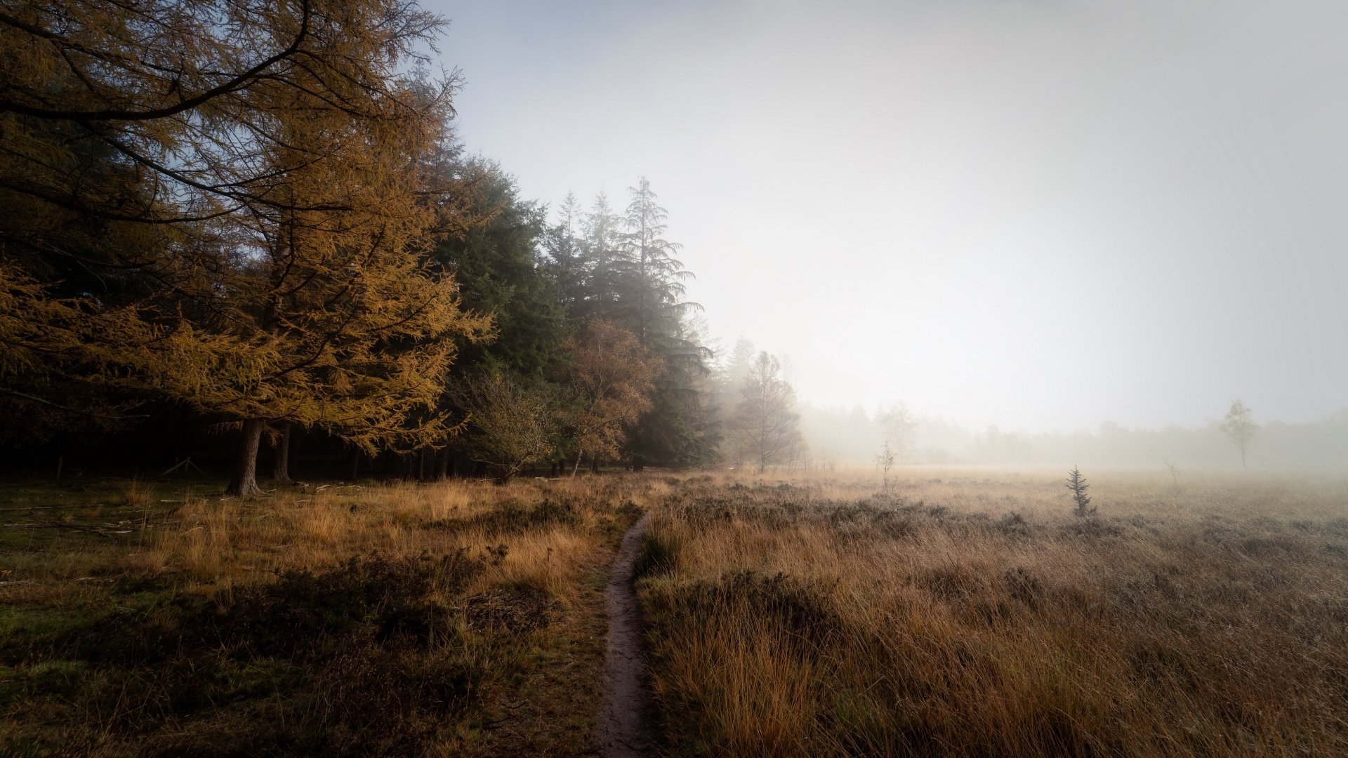 Download Path Fall Field Nature Fog 4k Ultra HD Wallpaper | 3840x2160 ...