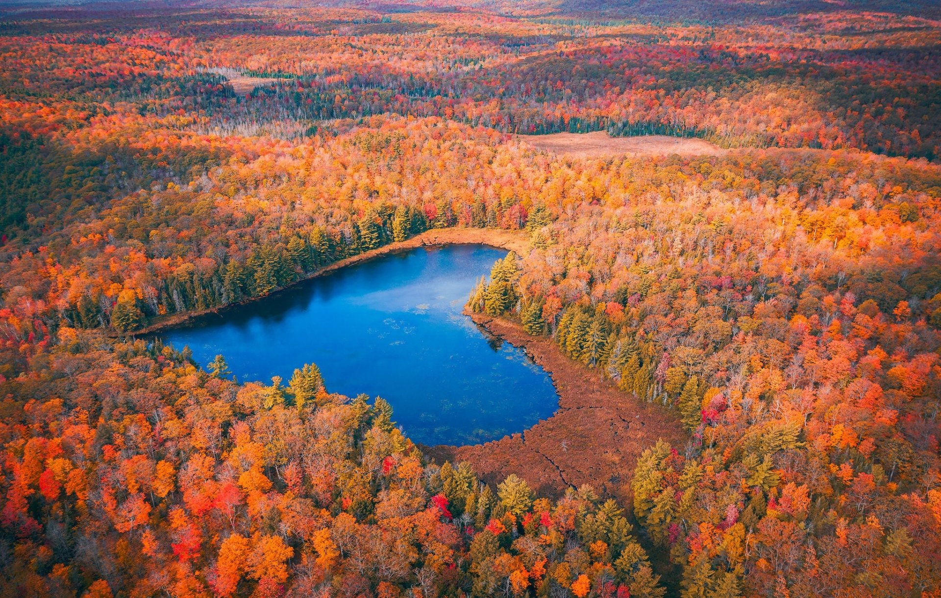 Download Heart-shaped Aerial Nature Forest Fall Lake HD Wallpaper