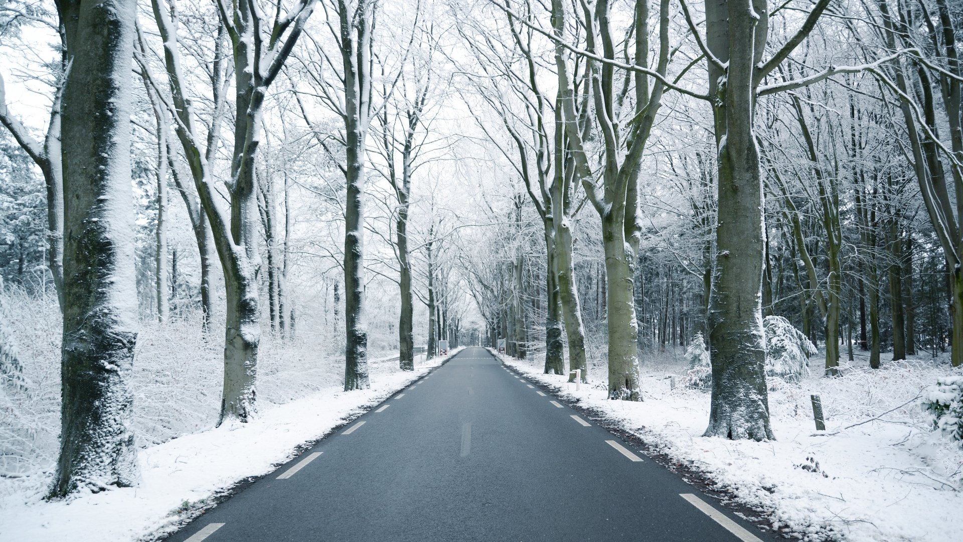 Download Tree Snow Winter Man Made Road 4k Ultra HD Wallpaper ...