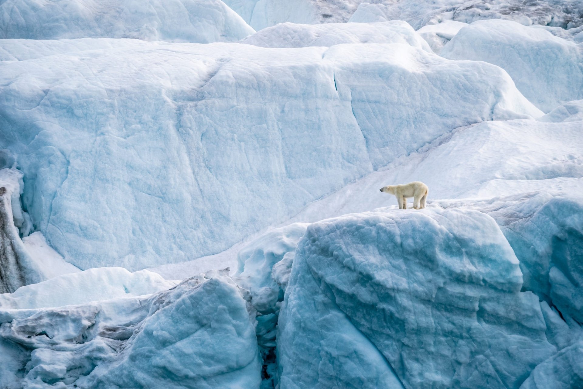 HD desktop wallpaper featuring a solitary polar bear standing on vast ice formations in a frozen Arctic landscape.