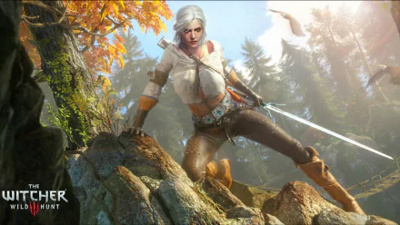 HD PC desktop wallpaper featuring Ciri from The Witcher 3: Wild Hunt in a vibrant autumn forest setting, showcasing detailed character design and dynamic pose.