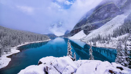 Snow-covered spruce trees and a tranquil lake set against snowy mountains in Alberta, Canada, captured in a stunning 4K Ultra HD winter landscape.