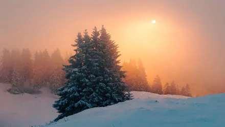 HD desktop wallpaper featuring a winter landscape with snow-covered trees, dense fog, and a warm sunset casting an orange glow over the serene natural scene.