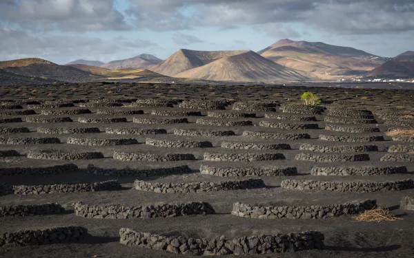  Spain, Canary Islands, Lanzarote