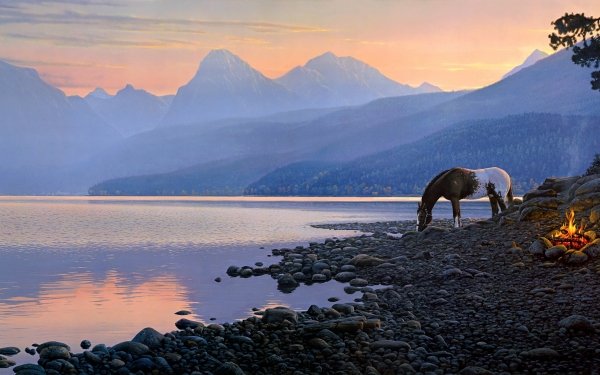 Animal Horse Sunset Mountain Fog Pebbles Lake Bonfire HD Wallpaper | Background Image