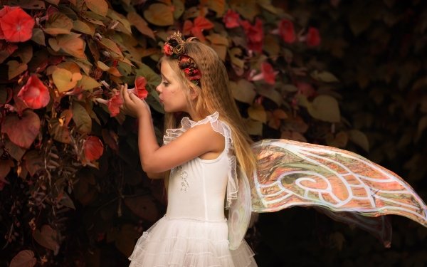 Photography Child Flower Wings Fairy Wreath Mood HD Wallpaper | Background Image