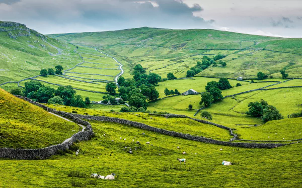 A 4K Ultra HD desktop wallpaper featuring a lush pasture with grazing sheep, stone fences, rolling hills, and a vibrant green field under a cloudy sky.