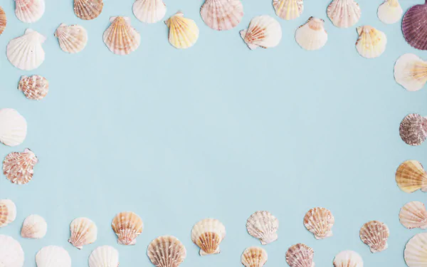 nature shell HD Desktop Wallpaper | Background Image