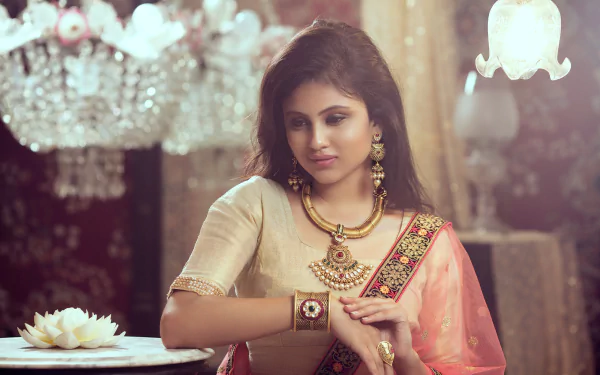 sari traditional costume makeup brunette hair model jewelry woman Indian HD Desktop Wallpaper | Background Image