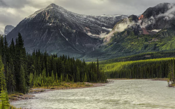 Canada spruce mountain nature river HD Desktop Wallpaper | Background Image