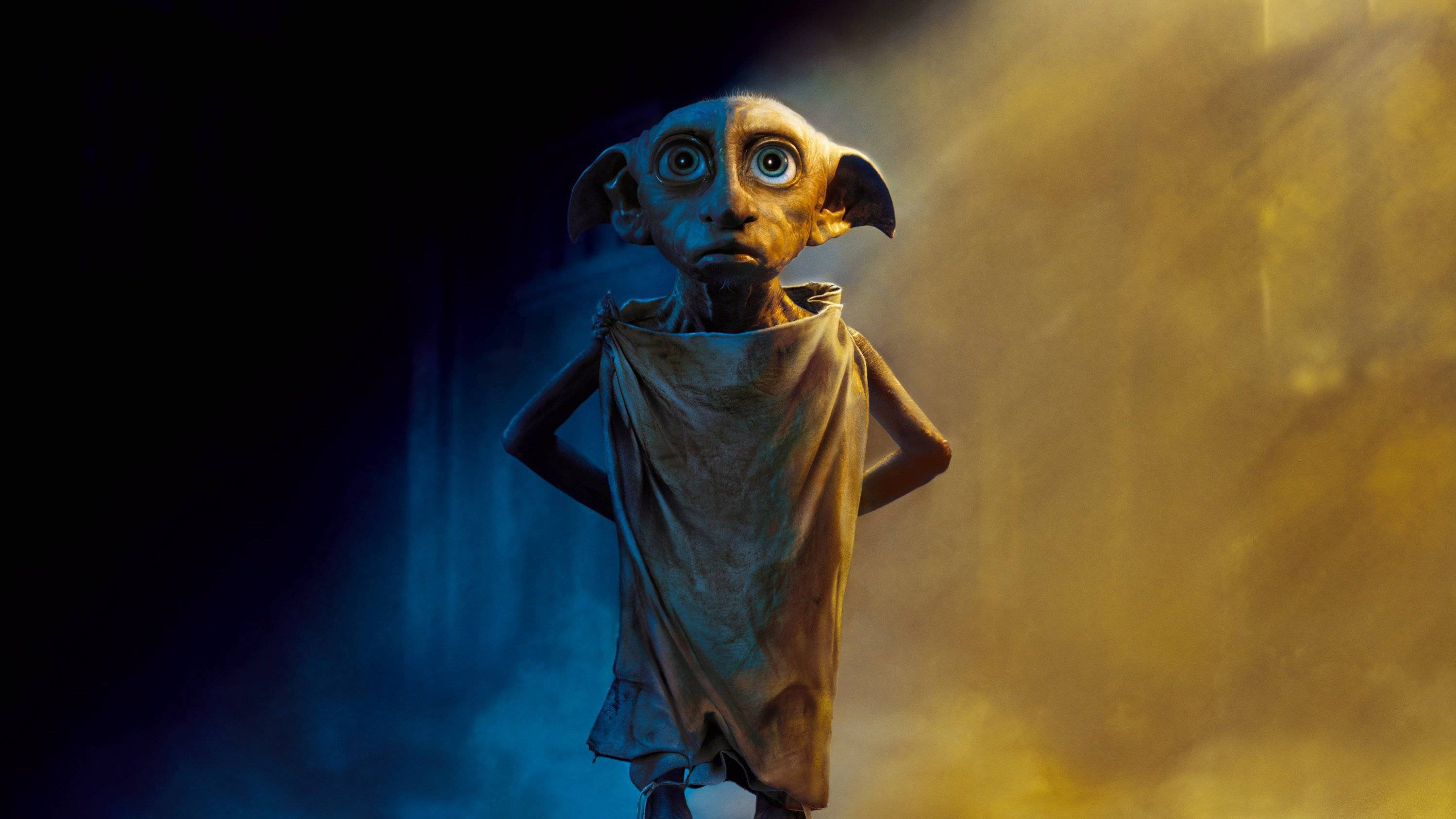 Dobby Hd Wallpapers And Backgrounds 