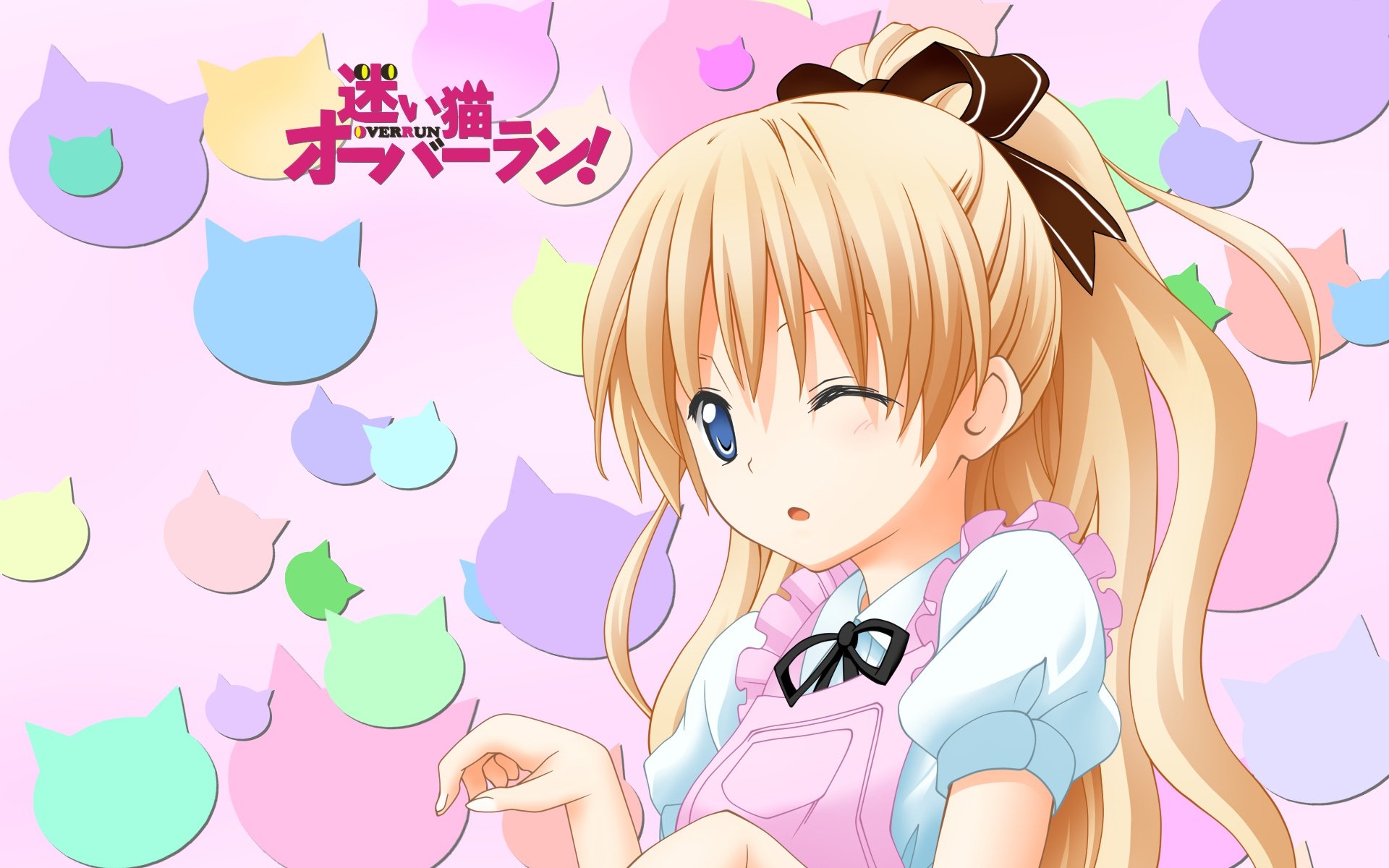 Download Anime Stray Cat Overrun! HD Wallpaper