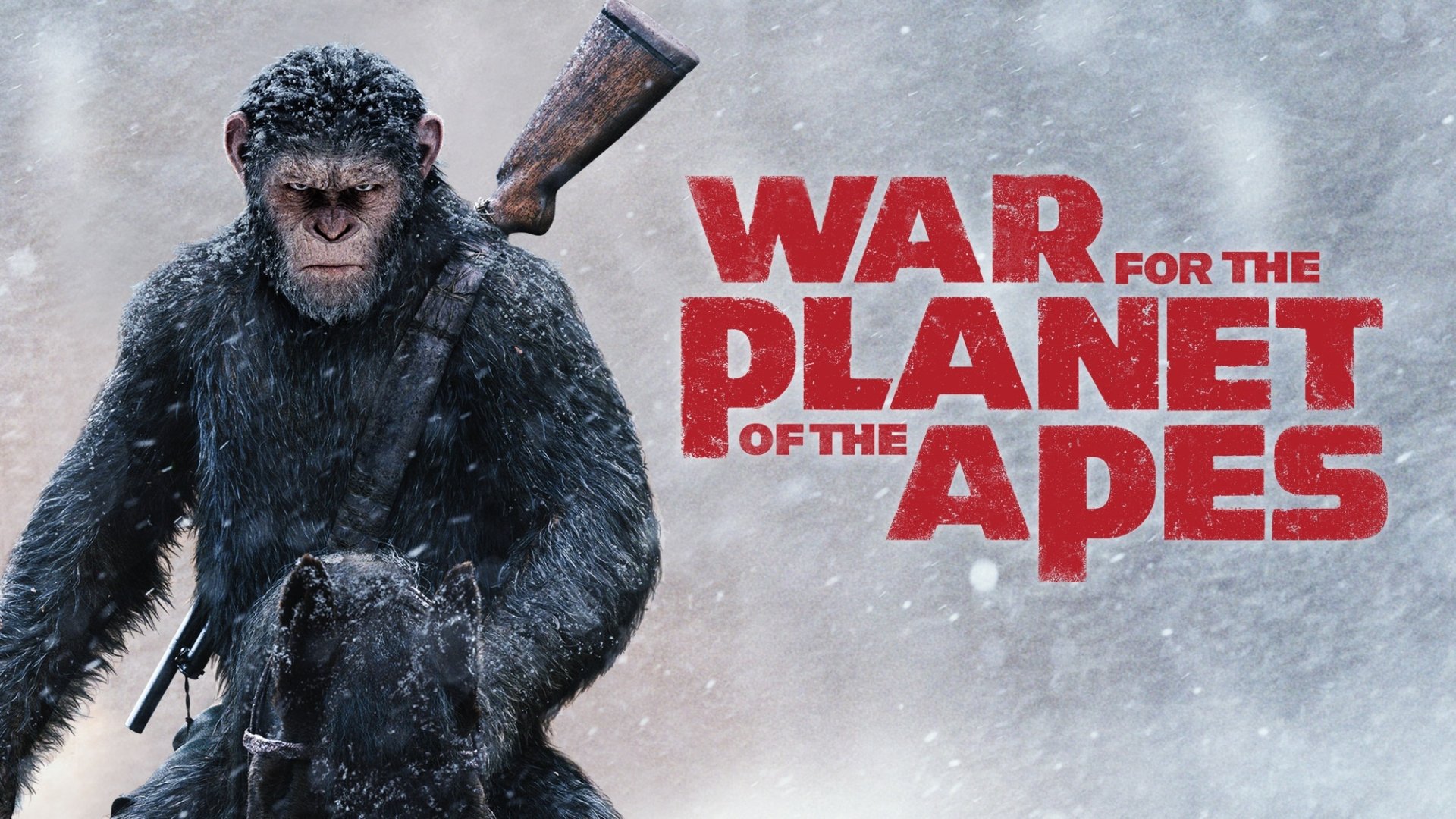 Download Movie War For The Planet Of The Apes HD Wallpaper