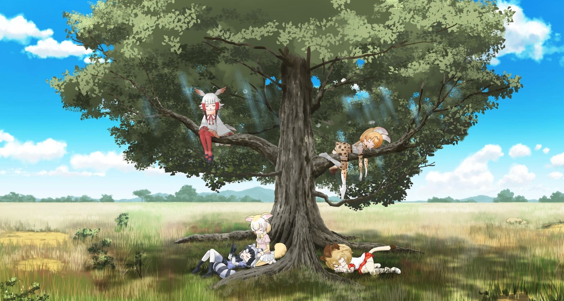 Download Anime Kemono Friends HD Wallpaper