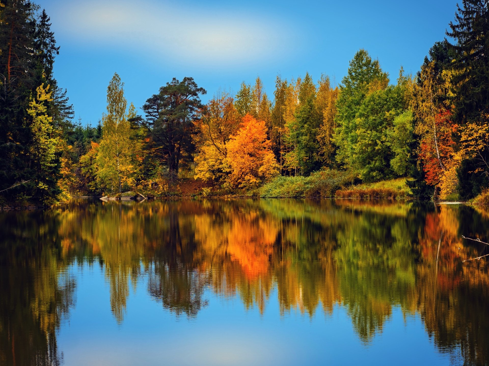 Download Lake Nature Finland Fall Reflection 4k Ultra HD Wallpaper