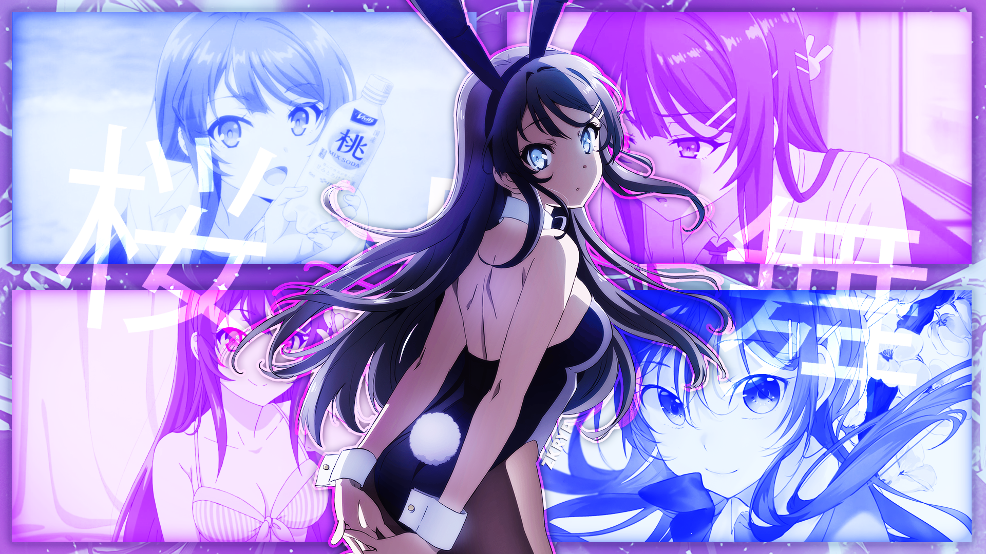 bunny girl senpai  Cute anime character, Kawaii anime girl, Mai sakurajima