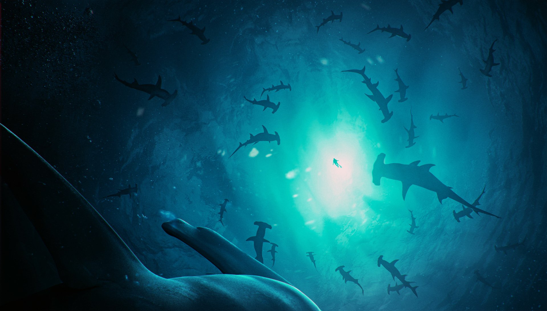 HD desktop wallpaper featuring a fantasy underwater scene with numerous hammerhead sharks silhouetted against a glowing blue light.