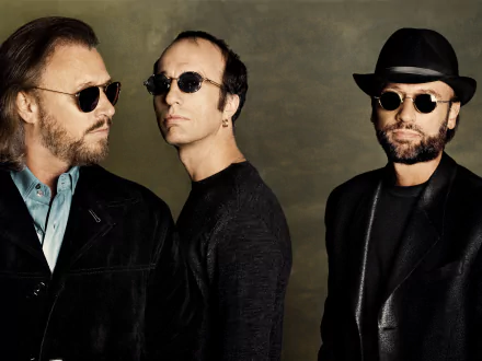 HD desktop wallpaper featuring the Bee Gees, showcasing the iconic trio in stylish sunglasses and distinctive outfits against a muted background.