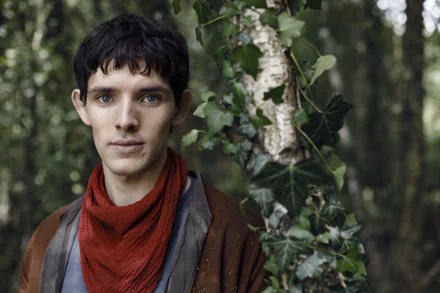  Merlin in the Woods