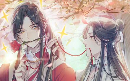 HD anime wallpaper featuring Xie Lian and San Lang (His Royal Highness the Crown Prince of Xianle) from Heaven Official's Blessing, Crimson Rain Sought Flower with soft cherry blossoms.