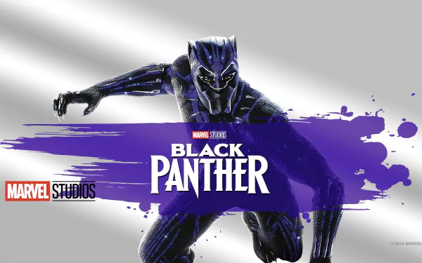 Chadwick Boseman T'Challa Black Panther (Marvel Comics) Black Panther (Movie) movie HD Desktop Wallpaper | Background Image