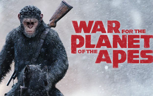 movie War For The Planet Of The Apes HD Desktop Wallpaper | Background Image