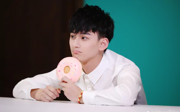 Celebrity Ji Li HD Desktop Wallpaper | Background Image