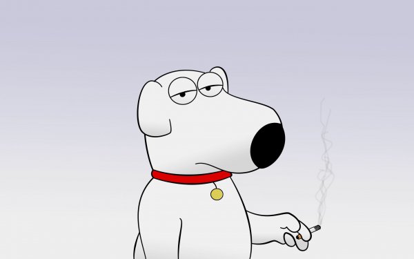 TV Show Family Guy Brian Griffin HD Wallpaper | Background Image