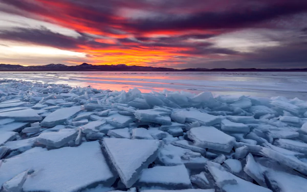 4K Ultra HD wallpaper capturing a stunning sunset over a frozen shore with ice shards scattered across the water, blending vibrant skies and serene nature.