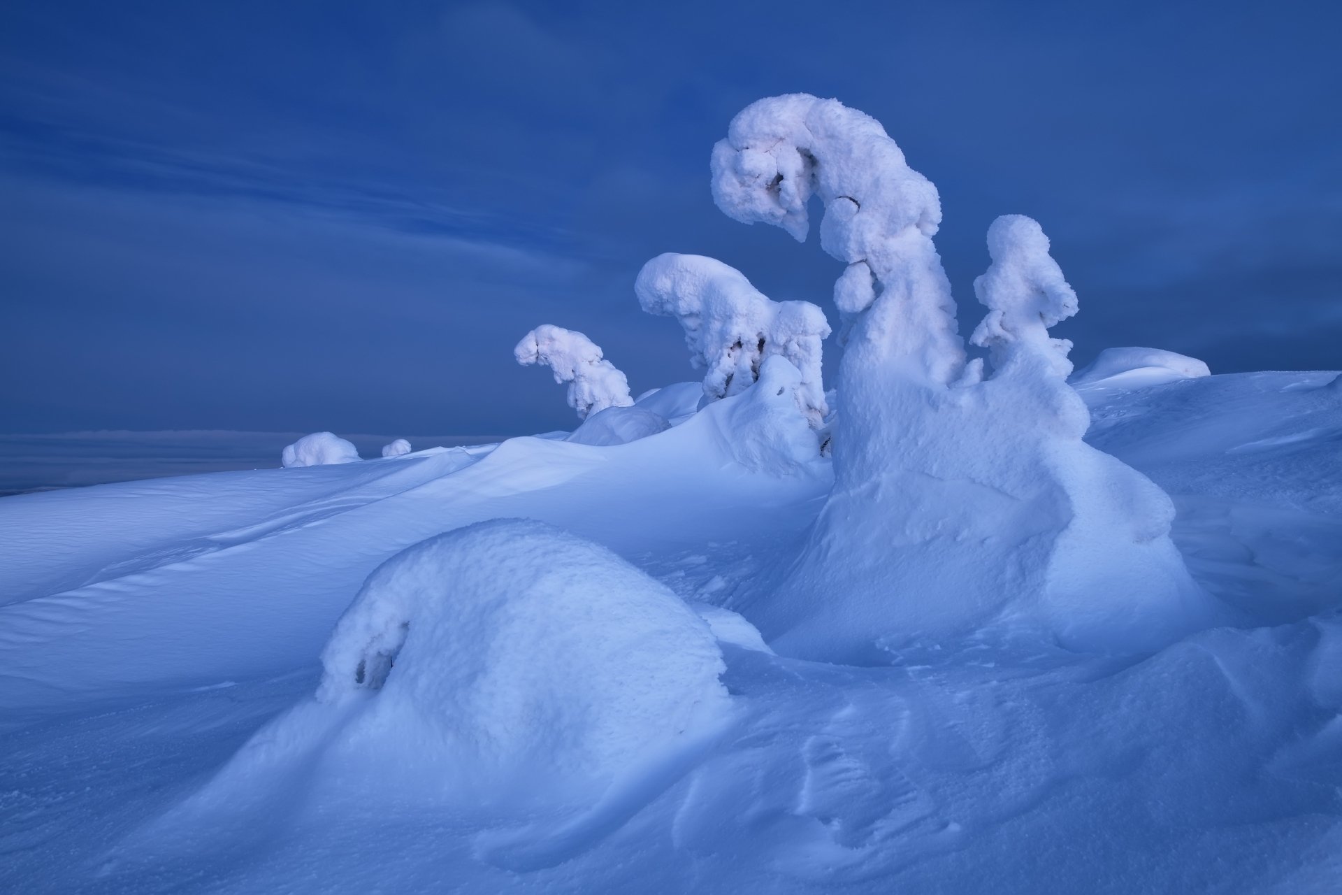 Download Nature Snow Winter HD Wallpaper by Maxim Evdokimov