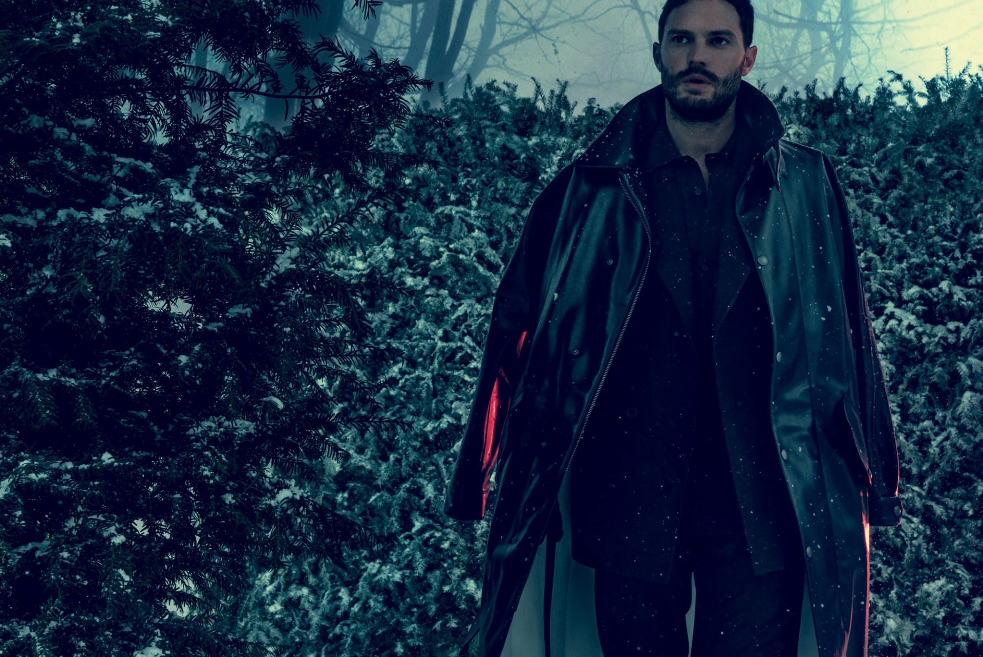 Download Celebrity Jamie Dornan HD Wallpaper