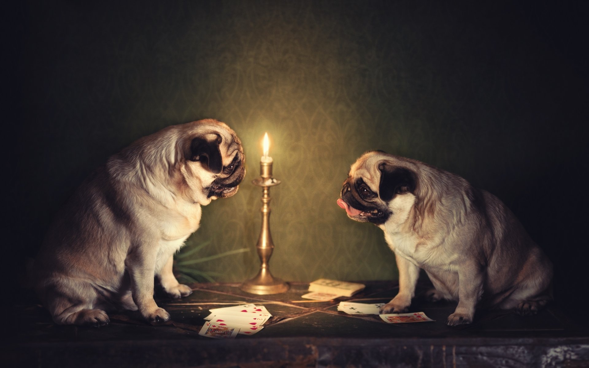 Download Pug Card Animal Dog HD Wallpaper by Natalia Ponikarova