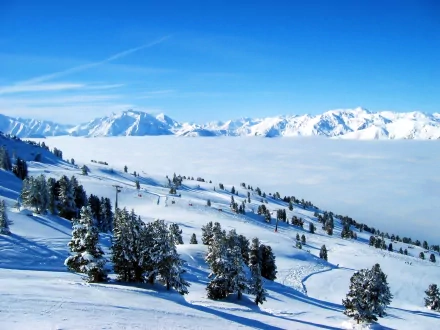 HD winter landscape wallpaper featuring a stunning view of snow-covered mountains and evergreen trees under a clear blue sky, creating a peaceful nature background.