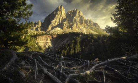 roots landscape nature mountain HD Desktop Wallpaper | Background Image