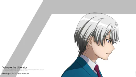 Kakumeiki Valvrave L-Elf Karlstein Anime Valvrave the Liberator HD Desktop Wallpaper | Background Image