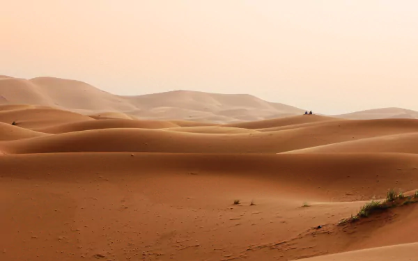  Moroccan Desert