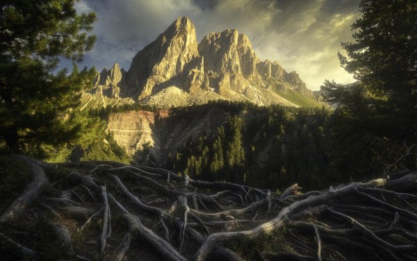Nature Mountain Mountains Landscape Roots HD Wallpaper | Background Image