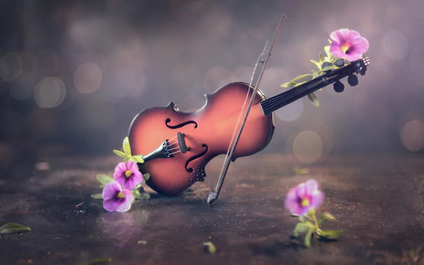 instrument flower music violin HD Desktop Wallpaper | Background Image