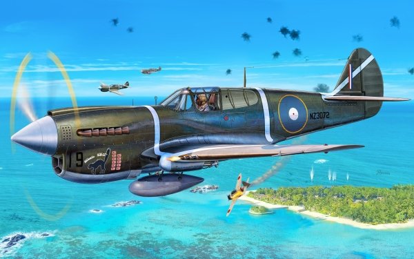 Military Curtiss P-40 Warhawk Military Aircraft Aircraft Warplane HD Wallpaper | Background Image