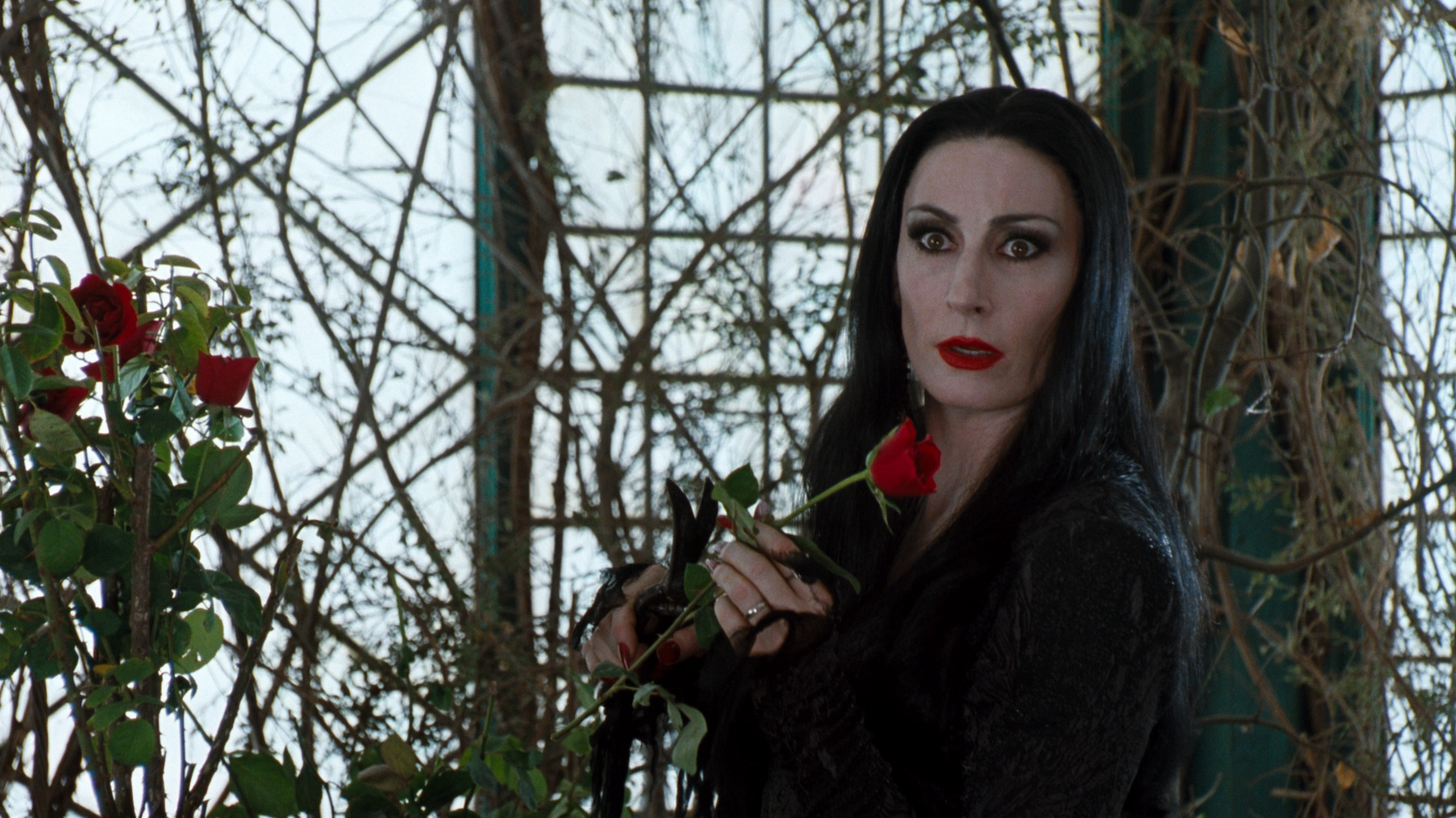 Morticia Addams HD Wallpapers and Backgrounds. 