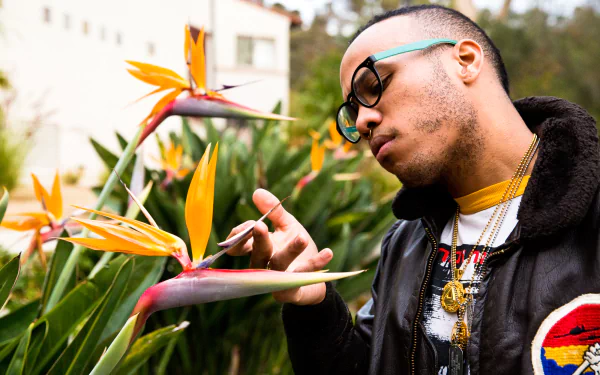 Anderson .Paak engages with vibrant flowers in this lively HD desktop wallpaper, capturing a moment of creativity and nature's beauty.